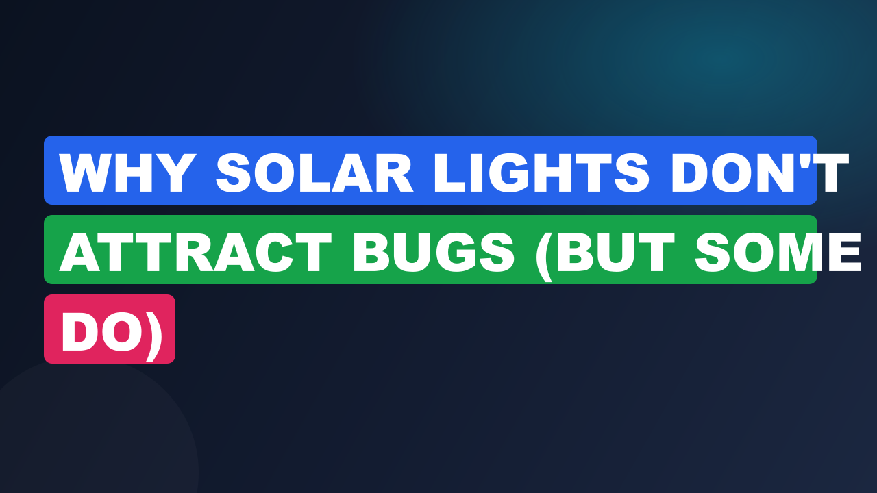 Why Solar Lights Don't Attract Bugs (But Some Do)